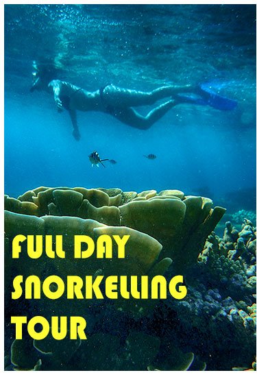 Snorkeling-Tour-Karimunjawa-Ayu